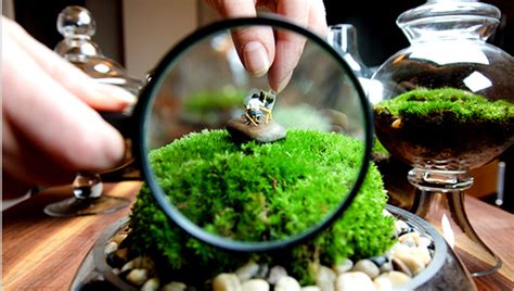It will be easier to add the plants if you choose one with an opening large enough to let you reach inside, but you can make a simple tool to use for small openings. Terrariums Make a Comeback - The New York Times