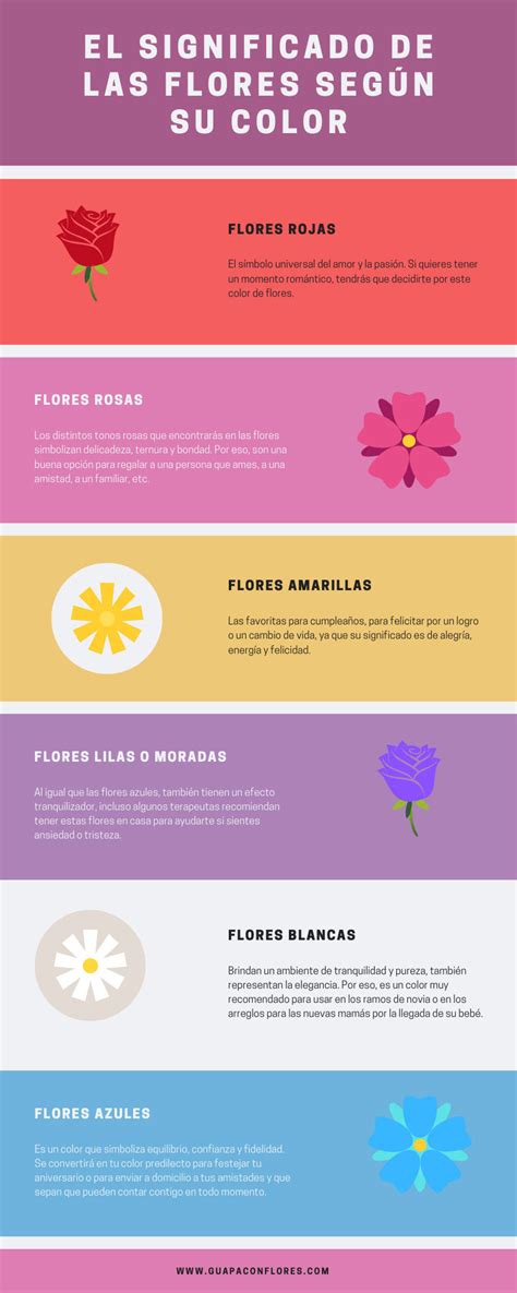 El Significado De Las Flores Según Su Color Guapa Con Flores