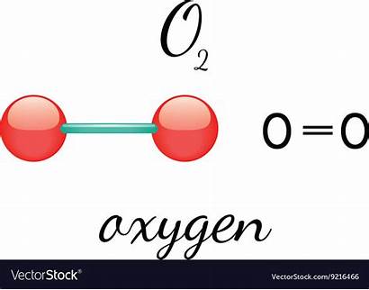 Oxygen O2 Molecule Vector Vectorstock Royalty