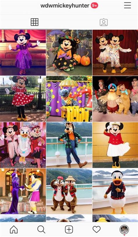 Did You Know Unofficial Disney Character Hunting Guide Facebook