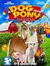 A Dog and Pony Show Pictures - Rotten Tomatoes