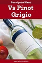 Sauvignon Blanc Vs Pinot Grigio - Winevore