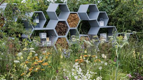 See The Urban Pollinator Garden At Rhs Hampton Court Palace Garden