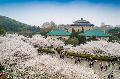 It was chosen by both project 985 and project 211 as a. Wuhan University World Ranking 2019