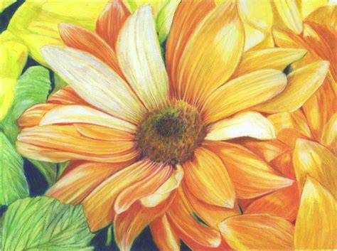 Colored Pencil Paintings — Julie Abowitt