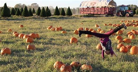 The Best Pumpkin Patches Near Me — Heres Where You Need To Go