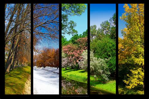 The Five Seasons By Biretta On Deviantart