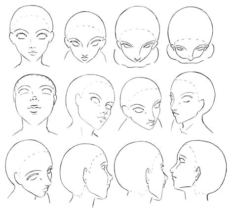How To Draw All Angles Of Face Lasurged Domay