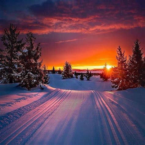 Winter Morning ~ Oppland Norway Photo By Jappern Vakre Steder