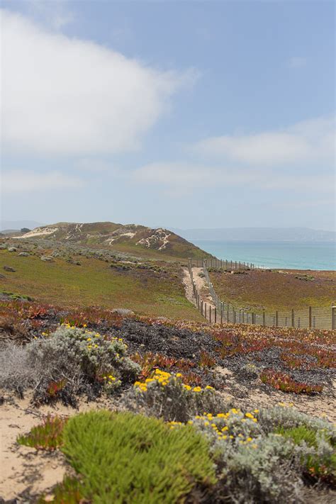 Fort Ord Dunes Near Monterey California State Parks California