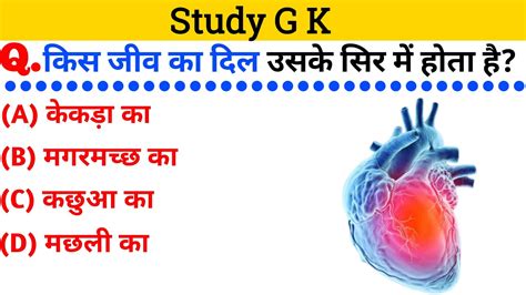 GK Questions GK In Hindi Gk Questions And Answers Gk Quiz