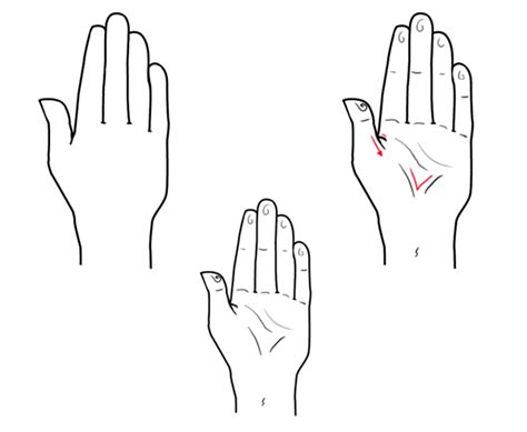 Quick Tip How To Draw A Hand Based On Geometric Shapes