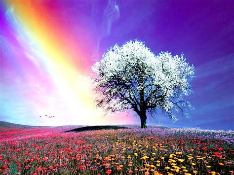Nature Images Rainbow