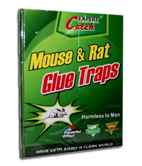 Buy Expert Mouse And Rat Glue Trap Pack Of 5 Pcs Online At Low Price