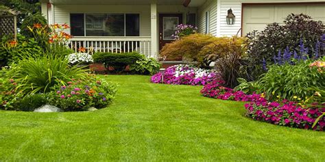 10 Tips For Making Lawn Green Landscaping Company In Kolkata