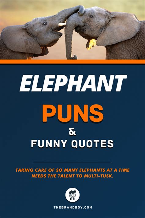 78 Best Elephant Puns ﻿and Funny Quotes Thebrandboycom Elephant
