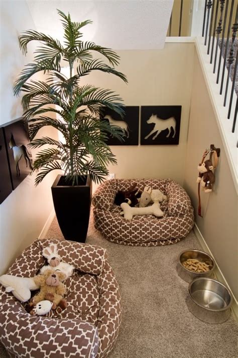 awesome dog beds  indoors  outdoors digsdigs