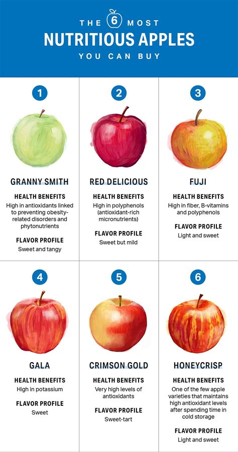 Which Apple Is The Healthiest Apple Benefits Healthy Food Choices