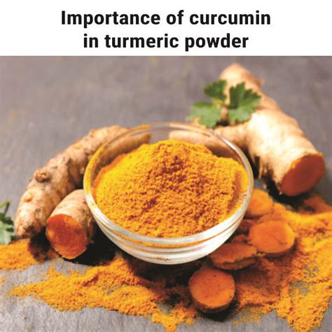 Importance Of Curcumin In Turmeric Powder Importance Of Cu Flickr