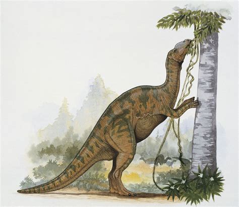 Hadrosaurus Chronicles Of Faerun Wiki Fandom