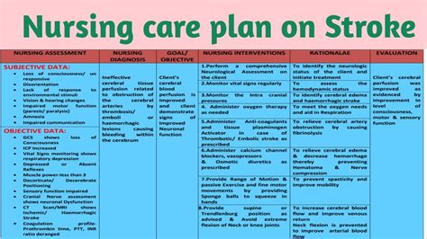 Cva Nursing Care Plan Nursing Care Plan Examples Gambaran