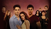 ‎The Twilight Saga: Breaking Dawn - Part 1 (2011) directed by Bill ...