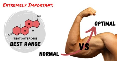 Extremely Important Testosterone Normal Vs Optimal Vs Best Range Dr Sam Robbins