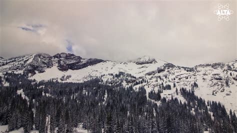 Alta Webcam Today R Skiing