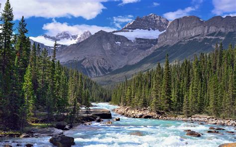 Canadian Rockies Banff National Park Canada Mistaya River And Mount