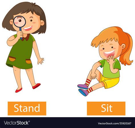 Opposite Verb Words With Stand And Sit Royalty Free Vector
