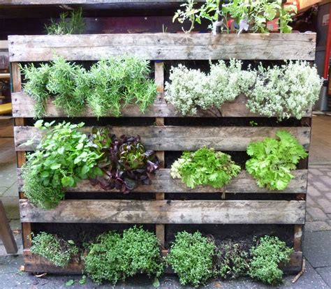 9 Creative Vegetable Garden Ideas 野菜のガーデン ポタジェガーデン 裏庭の菜園