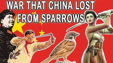 Chinas Great Famine The Great Sparrow Campaign Youtube