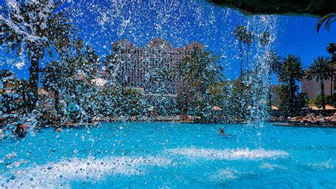 The Mirage Las Vegas Pool Review Everything You Need To Know About