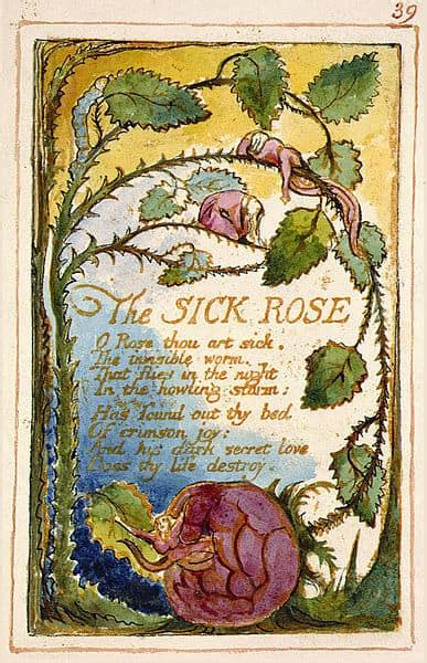 A Short Analysis Of William Blakes ‘the Sick Rose Interesting Literature