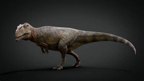 Giganotosaurus Carolinii 3d Model Paleoart By Derpyduckart On
