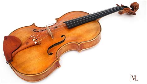 Serguei Savrov Viola 5 Cuerdas