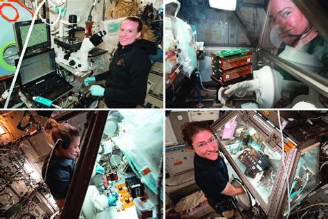 Examples Of Stem Cell Research Aboard The Iss Top Left Nasa Astronaut