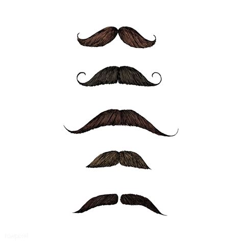 Hand Drawn Sketch Of Mustaches Premium Image By How To
