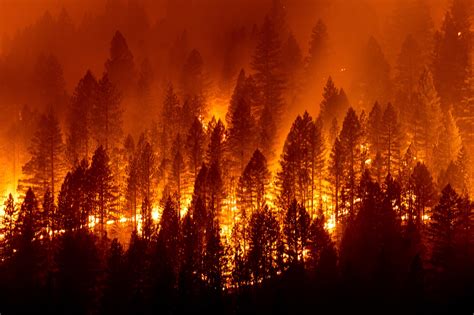 the most massive wildfires in the past 20 years fire ecology