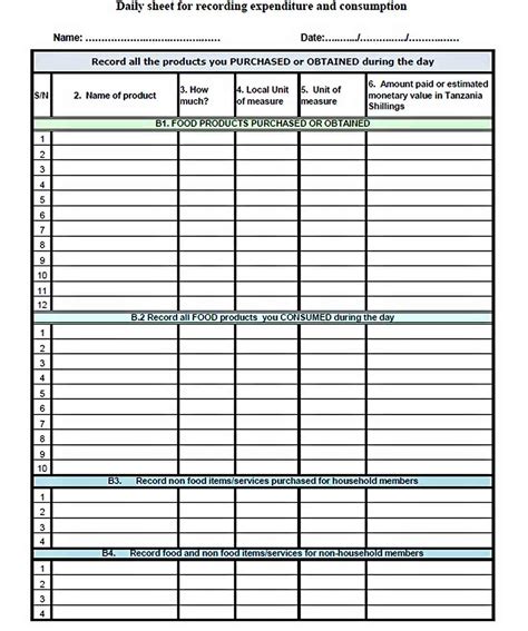 Variations Of Daily Budget Template Will Work Template