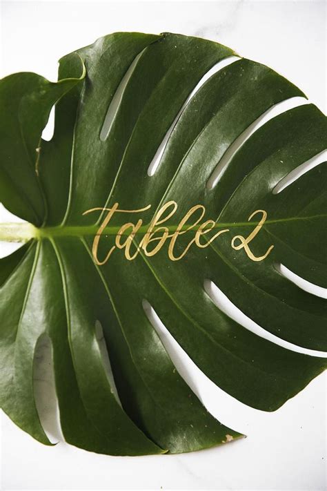 Monstera Leaf Table Numbers Monstera Leaves Tropical Leaf Etsy Gold