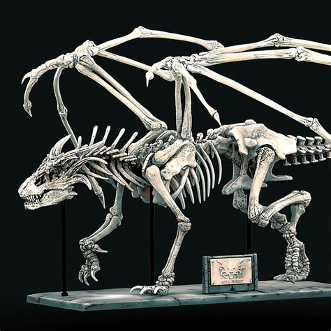 Dragon Skeleton Diorama Designed By Keta Minies Where Is My Dragon 3d