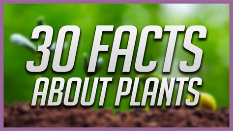 Amazing Facts 30 Fascinating Facts About Plants Newstrack English 1