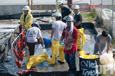 Photo Clean Up Efforts Of Bps Deepwater Horizon Oil Spill In