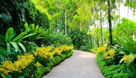 1336x768 Singapore Botanic Gardens Walking Paths Hd Laptop Wallpaper