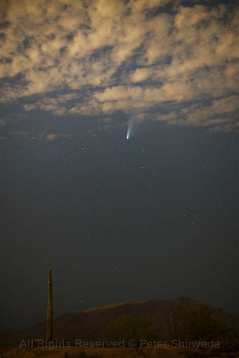 Neowise Comet Arizona July 2020