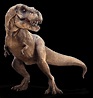 Tyrannosaurus Rex: Quick Facts - Owlcation
