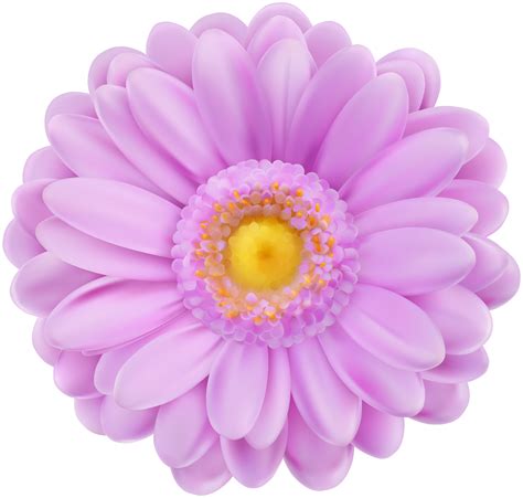 Purple Flower Soft Purple Flower Transparent PNG Clip Art Png