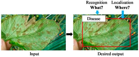Plant Disease Detection Using Image Processing Pdf