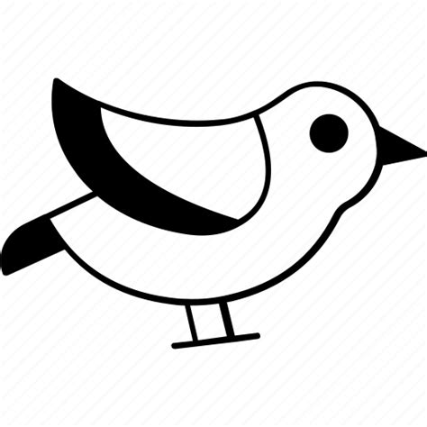 Crow Bird Squab Dove Columbidae Icon Download On Iconfinder